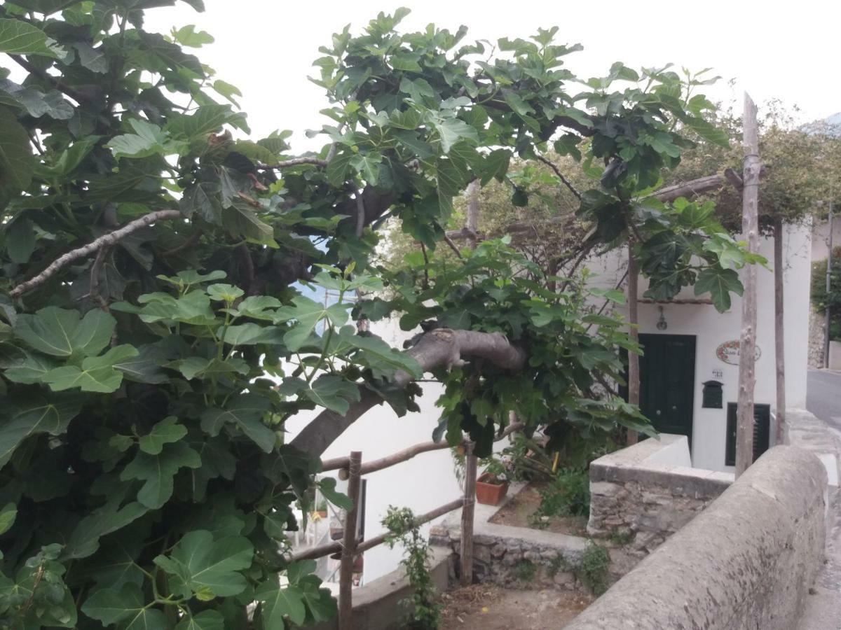 فيلا Casa Rosetta برايانو المظهر الخارجي الصورة