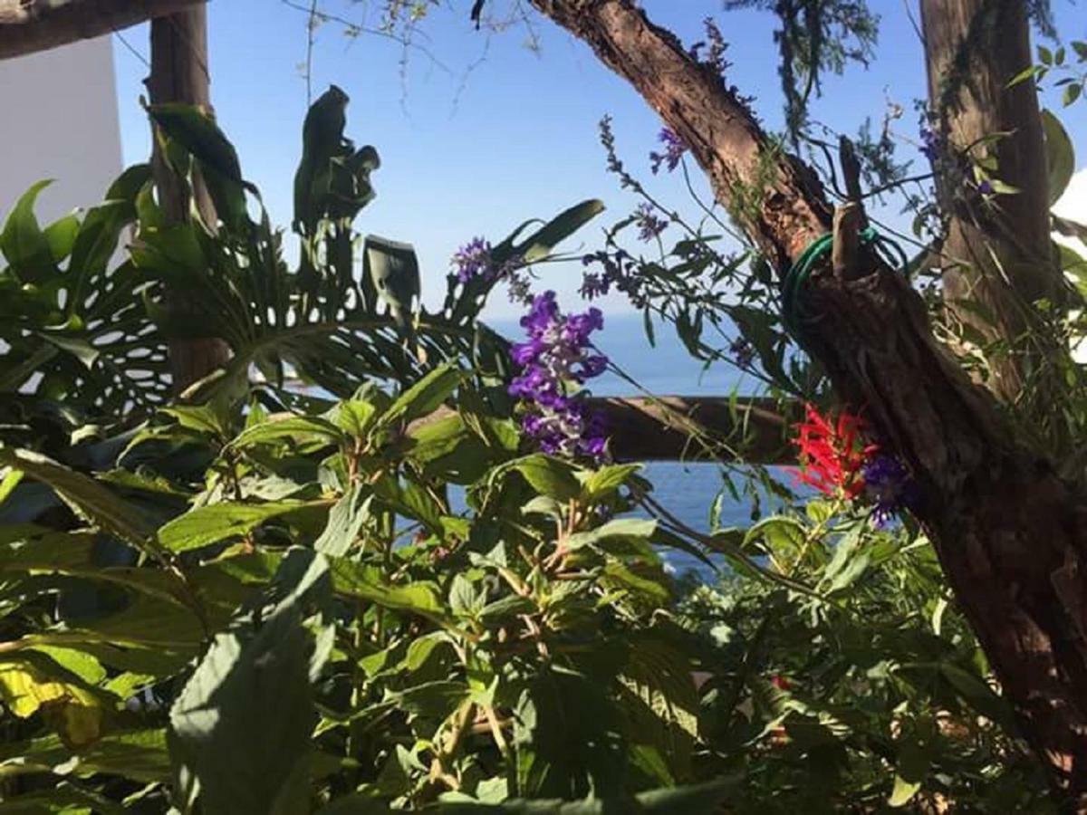 فيلا Casa Rosetta برايانو المظهر الخارجي الصورة