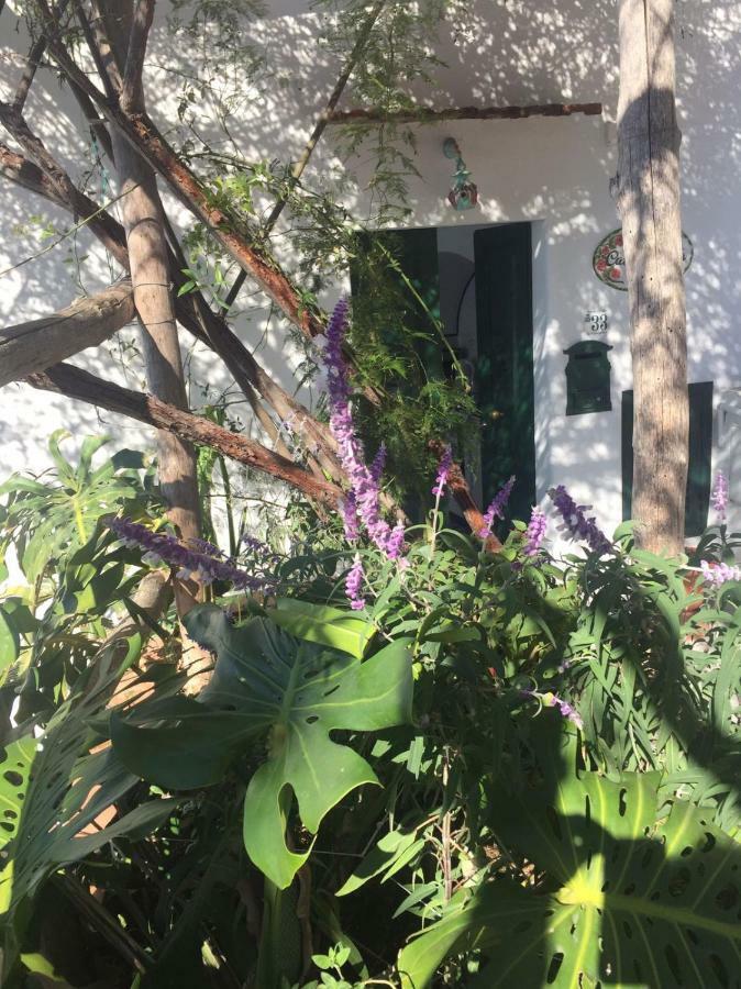فيلا Casa Rosetta برايانو المظهر الخارجي الصورة